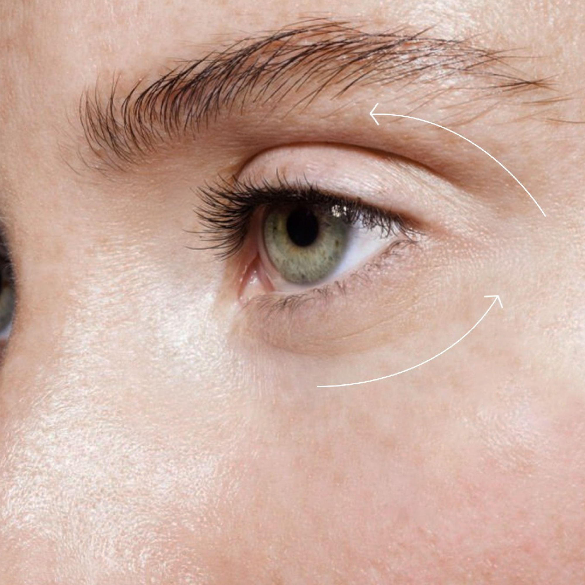 /storage/gallery/product/42/venn-eye-2.jpg