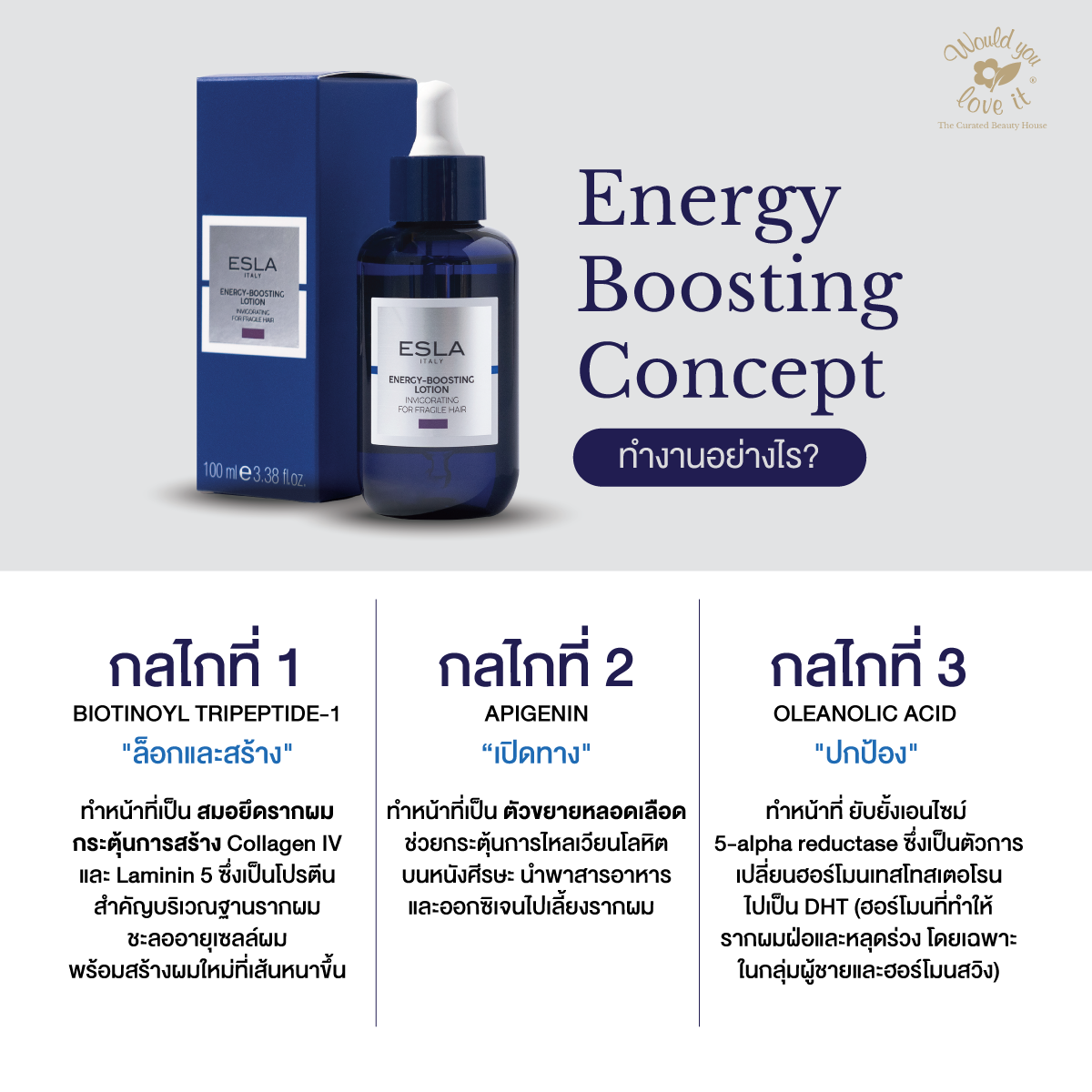 /storage/gallery/product/59/4.1)ภาพคอนเทนต์ESLA-03.png